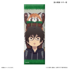 TV��� �w�o�ւ�Ӹ�ׁx �ݸފ��ޯ�� �^�،I���Ϸް�N 