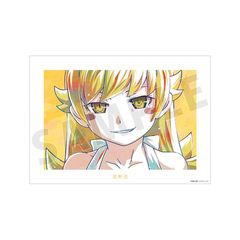 �q����r �ذ�� �E��E Ani-Art A3 ϯĉ��H�߽�� 