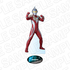 ������ �ذ�� ����BIG����̨�ޭ� ������ϯ�� 2025 Autumn II Ver. 