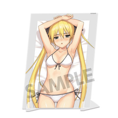 ��ذѸ��� �`�����낵 �޼ޭ�ٱ�����ڰ� ���� B 