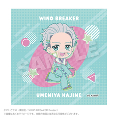 WIND BREAKER ����� vivid Ver. �~�{�� 