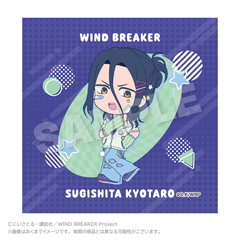 WIND BREAKER ����� vivid Ver. ���������Y 