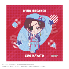 WIND BREAKER ����� vivid Ver. �h�c���� 