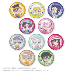 WIND BREAKER �ڰ�ިݸ� ���ޯ�� vivid Ver. BOX 