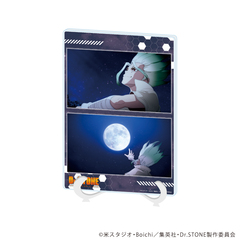 ���ٱ���ް�� (A5 ����) �uDr.STONE�v 16 / �ΐ_��� (��ʎ� �׽�) 
