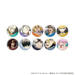���ޯ�� �uDr.STONE�v 41 / ��ײ��� (�S10��) (��ʎ� �׽�) BOX 