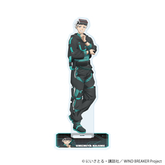 ���ٽ���� �uTV��� �wWIND BREAKER�x�v 25 / �~�{�� (�`�����낵 �׽�) 