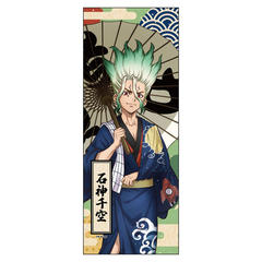 Dr.STONE ��ʂ��� / �ΐ_��� 
