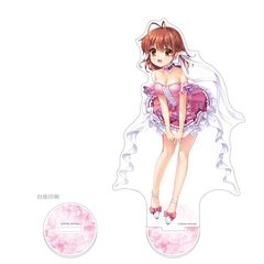 Key 25th ���屸�ٽ���� (�É͏� / Key 25th) 