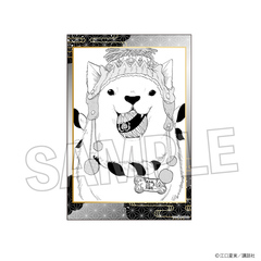 �S���̗�O ����޶��� Vol. 2 12 