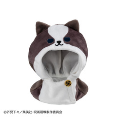 �邩���� ����� ��ҁw��p����x 5���N �����b 