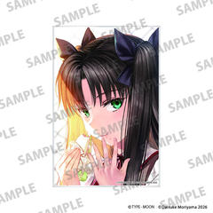 �uFate/stay night [Unlimited Blade Works]�v ������ڰ� B 