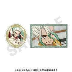 �uDr.STONE�v �ï����� �Θb Ver. (�ΐ_���) 