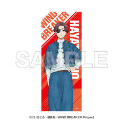 WIND BREAKER -SUMMER WIND VACATION- ̪����� �h�c���� 