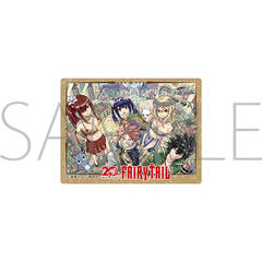 FAIRY TAIL �ï�� / A 