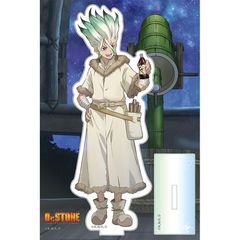 Dr.STONE ٽ (ΐ_) 
