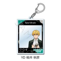 TV wWIND BREAKERx ٷް YD (HF) 