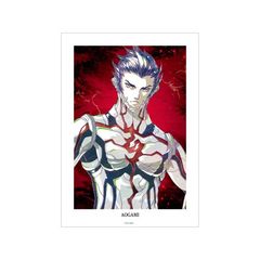 ^_] V Vengeance  Ani-Art A3 ϯĉH߽ 