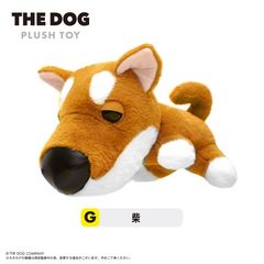 TD-01 THE DOG ʂ G :  