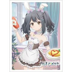  uFate/kaleid liner ؽρ Licht O̖v `낵 ذ (V / ưҲ) 