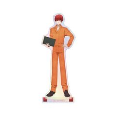 TV uDoll* -Reinterpretation of Flowering-v h BIGٽ Ver. B 