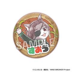 WIND BREAKER  ڲƬ ׷׊ޯ hc 