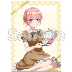 �ܓ����̉ԉŁ� �y�`�����낵�z B2 ��߽�ذ ��� (���ǰ�è� Ver. ) 