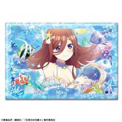 ܓ̉ԉŁ ۸ъޯ Ver. 2 ޻޲ 08 (O / B) 