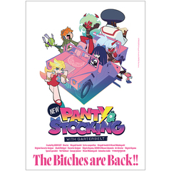 New PANTY & STOCKING with GARTERBELT �ر�߽�� / è�ް 