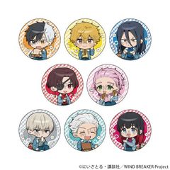 WIND BREAKER �ڰ�ިݸ� ���ޯ�� (�߸Ư� / �Ʒ��) BOX 