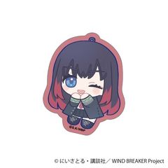 WIND BREAKER ï / ֖C ʂ  