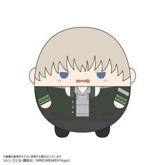 WB-20 WIND BREAKER ӂۂ BIG 3 D : @ 