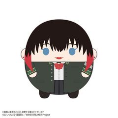 WB-20 WIND BREAKER ӂۂ BIG 3 E : ֖C 