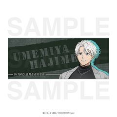 WIND BREAKER ̪����� �~�{�� 