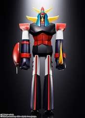 �ެ���ϼ��ް �E��ײ�ި�� 