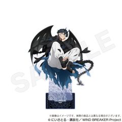 WIND BREAKER ޯޱٽ  Ver. ݓƐ^l 