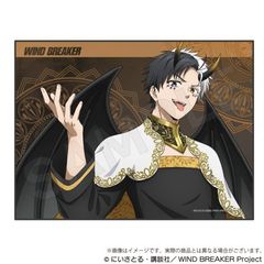 WIND BREAKER ݹ  Ver. y 