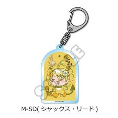  w܂! Ԃx ٷް M-SD (ذ) 