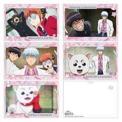 3�NZ�g�┪�搶 �߽Ķ��޾�� / B [�⍰] 