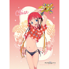 ��د���� ���ް� �`�����낵 B2 ��߽�ذ (�򒹐삿�� / ����) W����� 