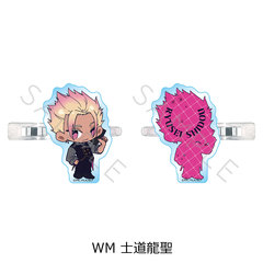 TV��� �w��ٰۯ��x �O���د�� WM (�m������) 