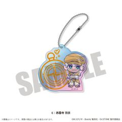 TV uDr.STONEv ɂ`Ƃ e ױٷް E H 