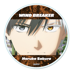 WIND BREAKER ���ٺ���� �yA�z 