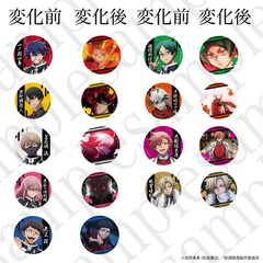 �����ËS �ڰ�ިݸ� (��ݼ�ݸ�) ��Ұ��� ���ޯ�� (��) BOX 