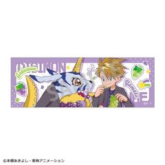 �޼��ݱ�������� �ݸ޽������ޯ�� �Γc��� & ������ / �ٰ��߰è� 