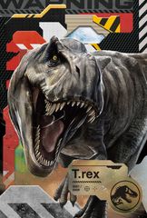 �ޭ׼���ܰ���4 / 3D�߽Ķ��� A 