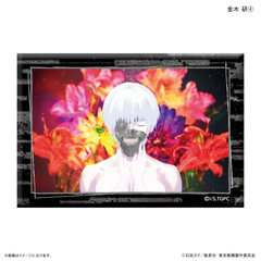 TV��� �w������� İ����ްفx �Ʊ�Ľ���� ���،� (4) 