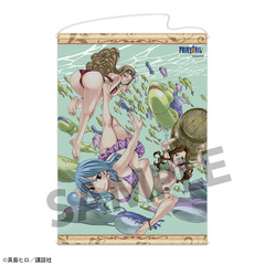 FAIRY TAIL B2 ��߽�ذ �ޭ�ޱ & �� & ��ް��ذ� 