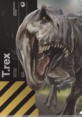 �ޭ׼���ܰ���4 / ��د��ر̧�پ�� 