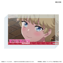 TV��� �w���������x ������ۯ� �������� 